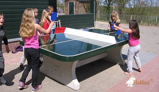 Verbinding droogte Additief Pingpongtafel buiten, buiten pingpongtafel - Pingpongtafel.nl - HeBlad