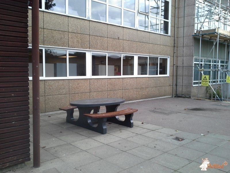 Redlynch Leisure Installations Ltd out  Broomfield