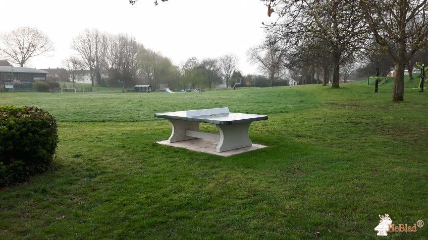Mant Leisure Ltd out  Taunton