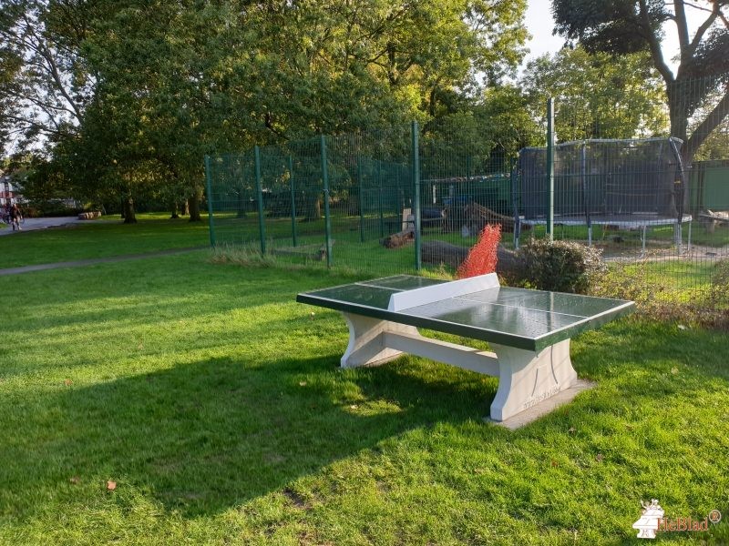 The great outdoor gym company out  Lewisham