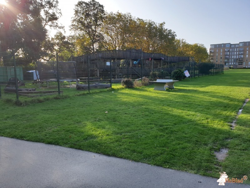 The great outdoor gym company out  Lewisham