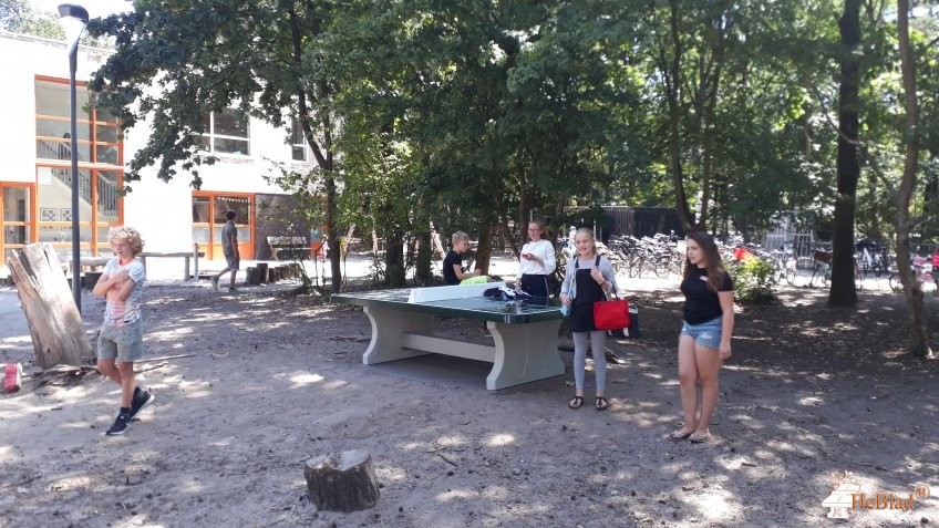 Swinkels-Gruithuijzen hoveniers out  Son en Breugel