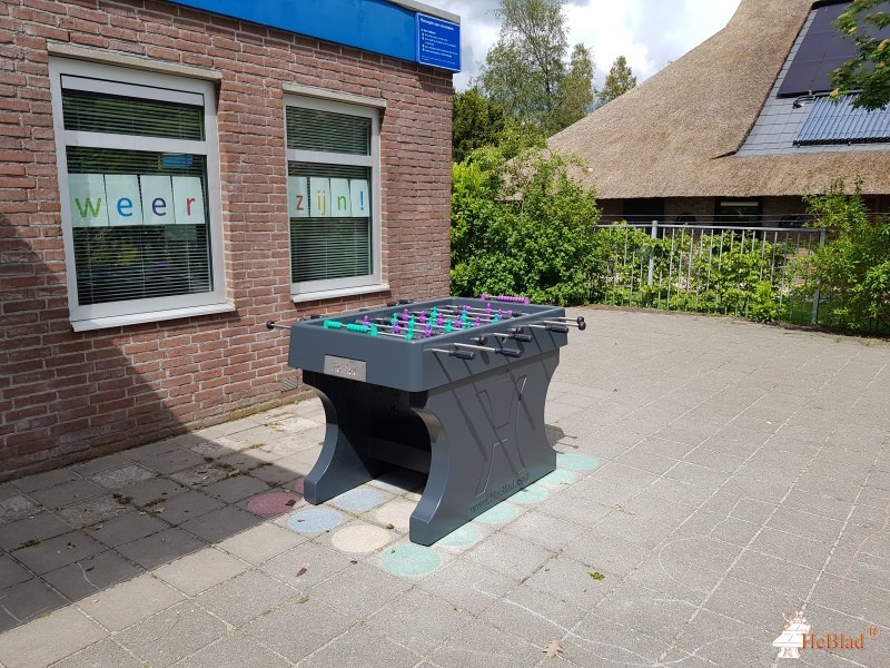 Gemeente Steenwijkerland uit Wanneperveen