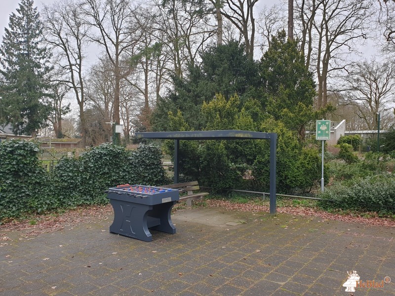 De Ambelt Oosterenk out  Zwolle