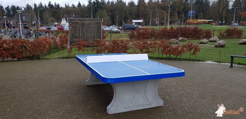 OBS De Woordhof out  Hummelo