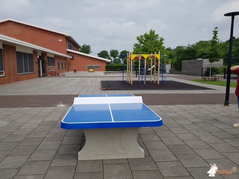 C.B.S. 'De Lichtboei' out  Oostwold