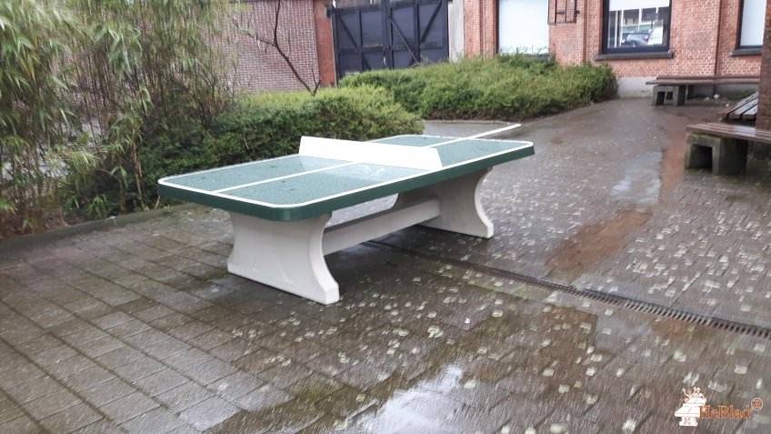 VZW Organisatie Broeders van Liefde out  Merksem