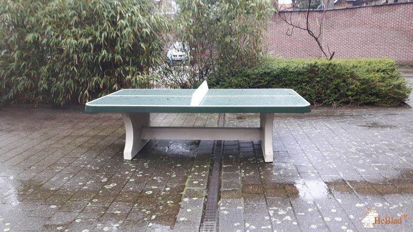 VZW Organisatie Broeders van Liefde out  Merksem