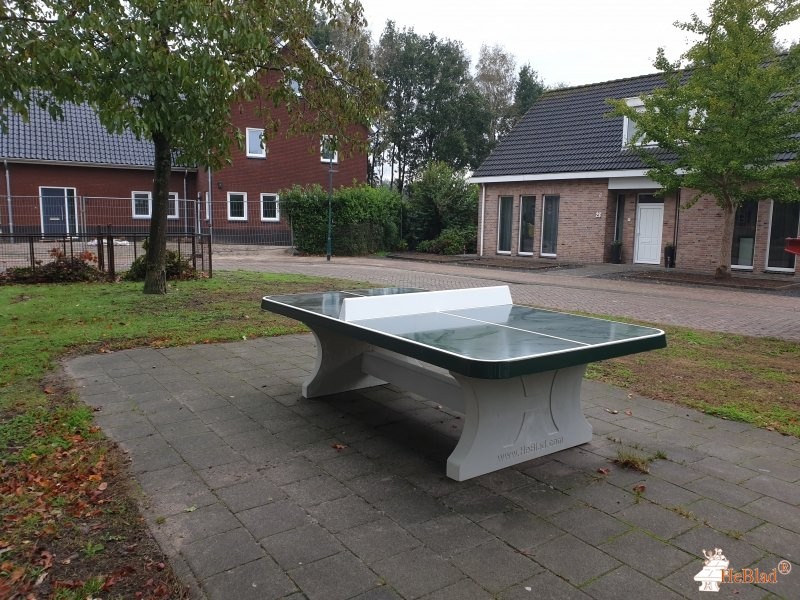 ABG Gemeenten out  Molenschot