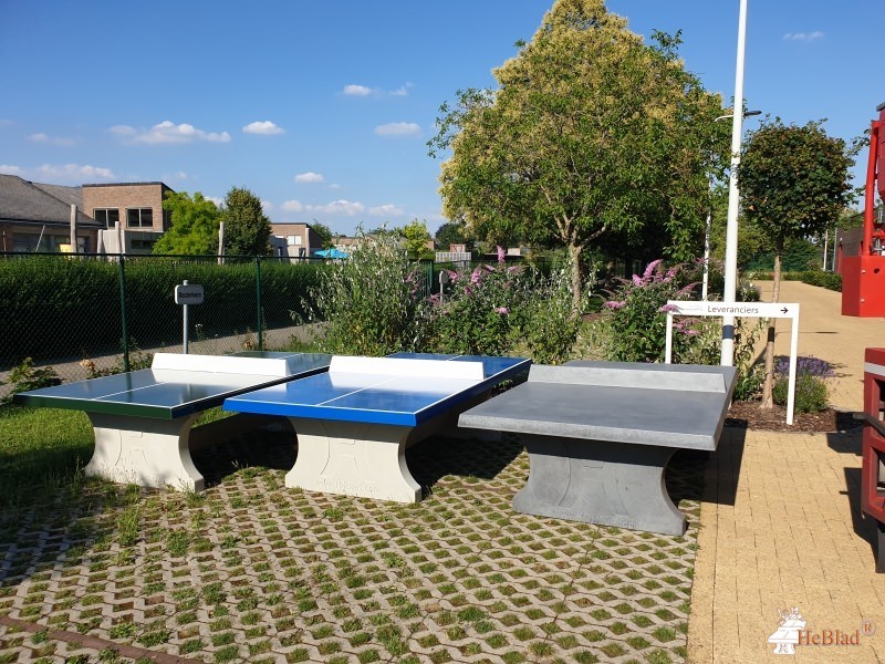 Scholengroep Fluxud (Talentenschool Turnhout Campus Boomgaard) out  Turnhout
