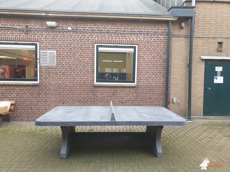 Dewulf out  Winsum