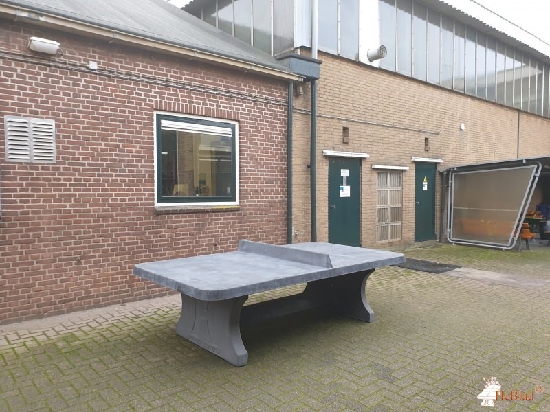 Dewulf out  Winsum