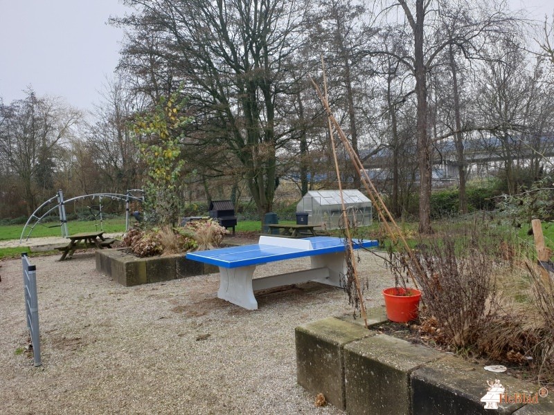 RENN4 Erasmussschool out  Groningen