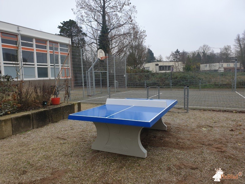 RENN4 Erasmussschool out  Groningen