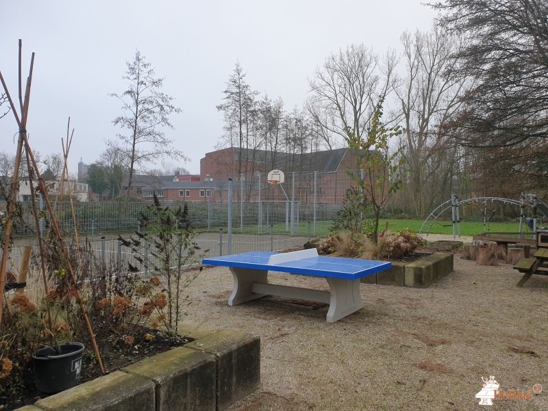 RENN4 Erasmussschool out  Groningen