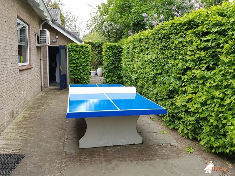 Stephan F.J. Sluiter out  Mijnsheerenland