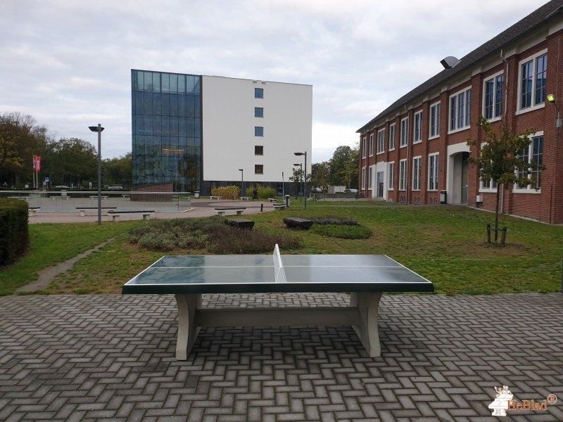 Dolmans Landscaping Brabant b.v. out  Breda