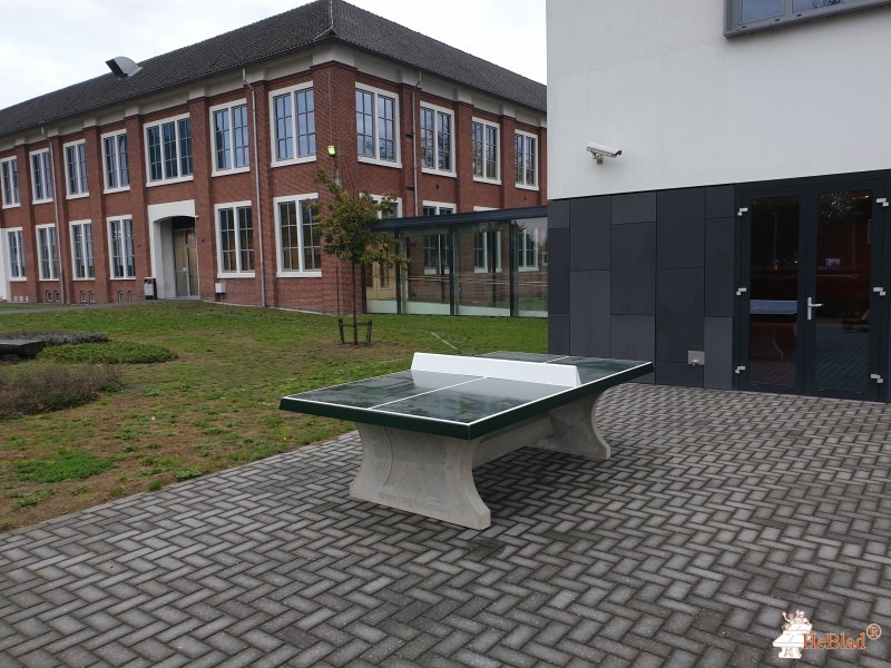 Dolmans Landscaping Brabant b.v. out  Breda