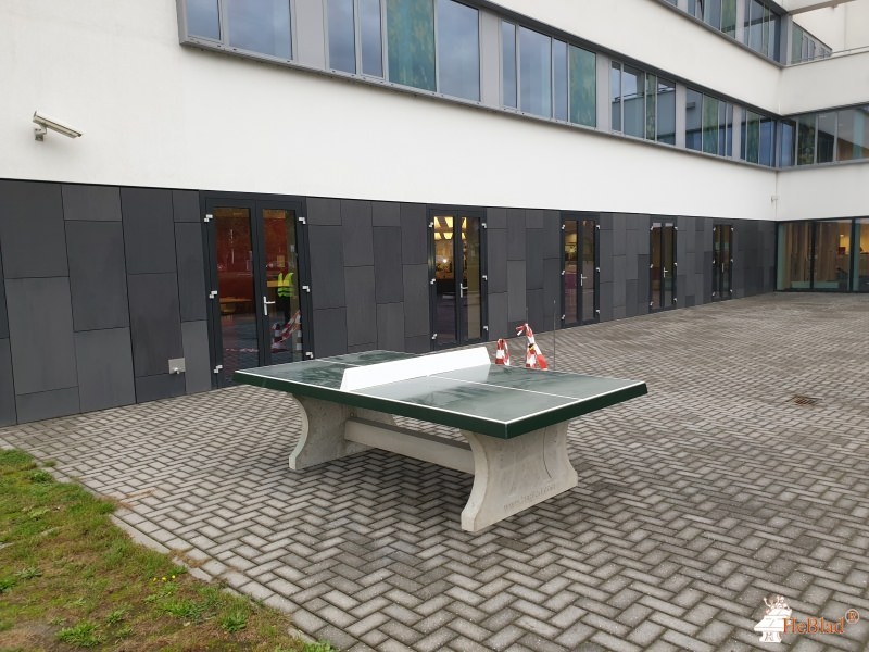 Dolmans Landscaping Brabant b.v. out  Breda