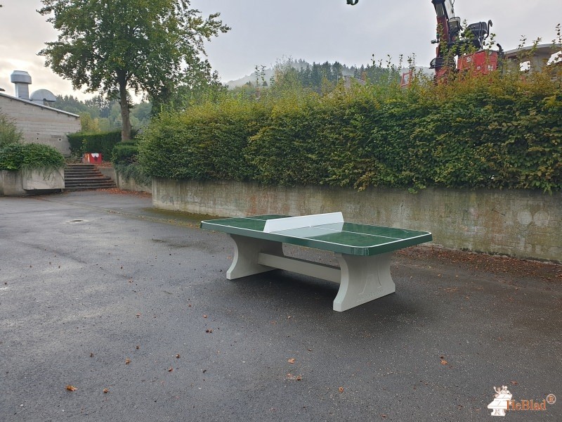 Erich-Klausener-Gymnasium out  Adenau