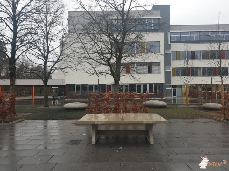 Gebr. Demirbas GmbH out  Walldorf