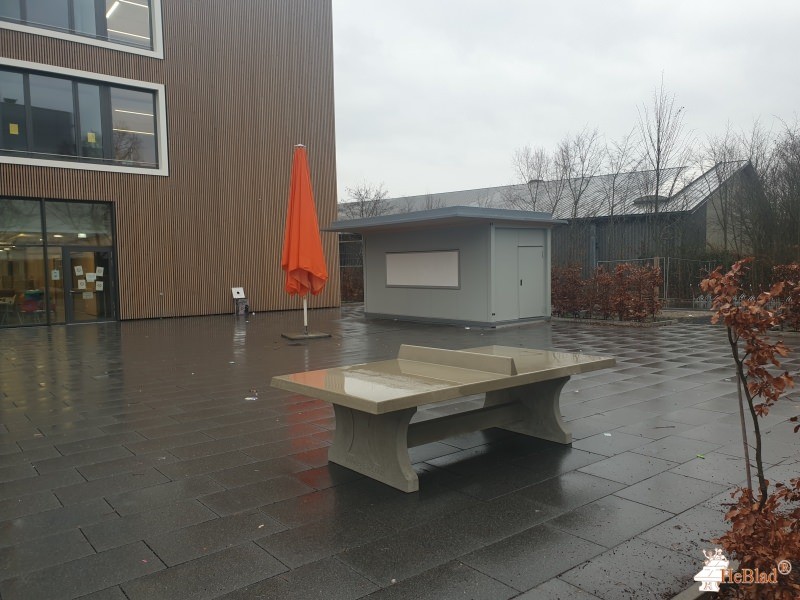Gebr. Demirbas GmbH out  Walldorf