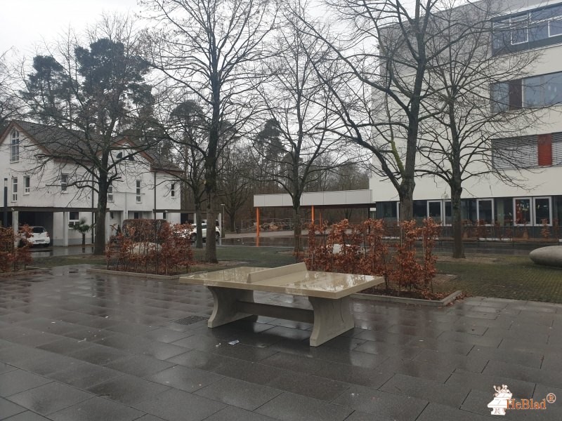 Gebr. Demirbas GmbH out  Walldorf
