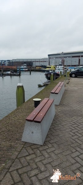 Gemeente Maassluis out  Maassluis