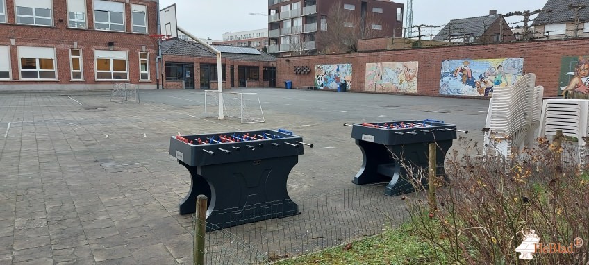 RHIZO College Zwevegem out  Zwevegem