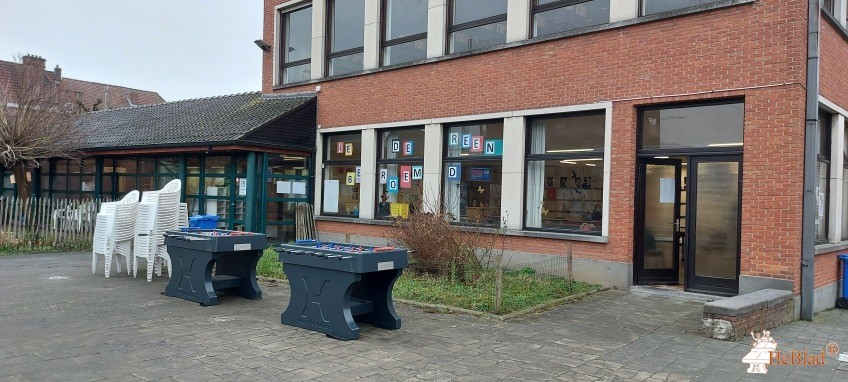 RHIZO College Zwevegem out  Zwevegem