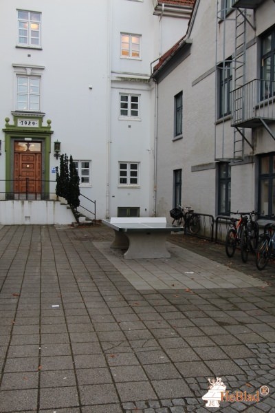 Sommerbutikken AS out  Vestby