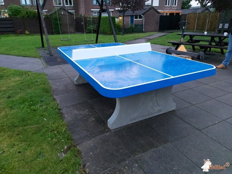 Vereniging Tuinenoord out  Rotterdam