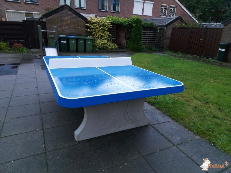 Vereniging Tuinenoord out  Rotterdam