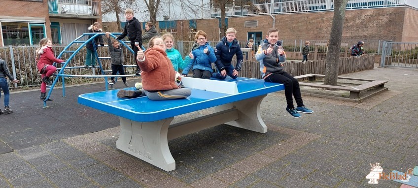 Funty B.V. - Tafeltennisland.nl out  's Gravenzande