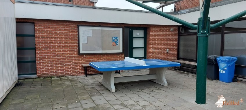 RHIZO College Zwevegem out  Zwevegem