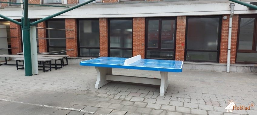 RHIZO College Zwevegem out  Zwevegem