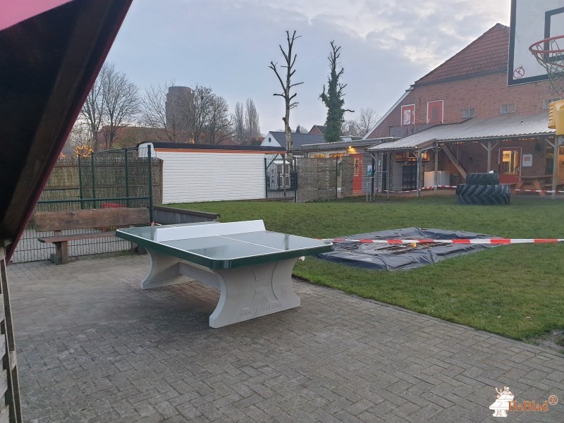 Welles Hout / Speeltoestel.nl out  Stadskanaal