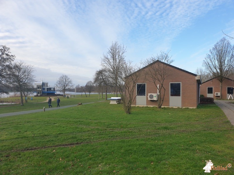 Belomax - BVBA HOMESHOP from Willebroek