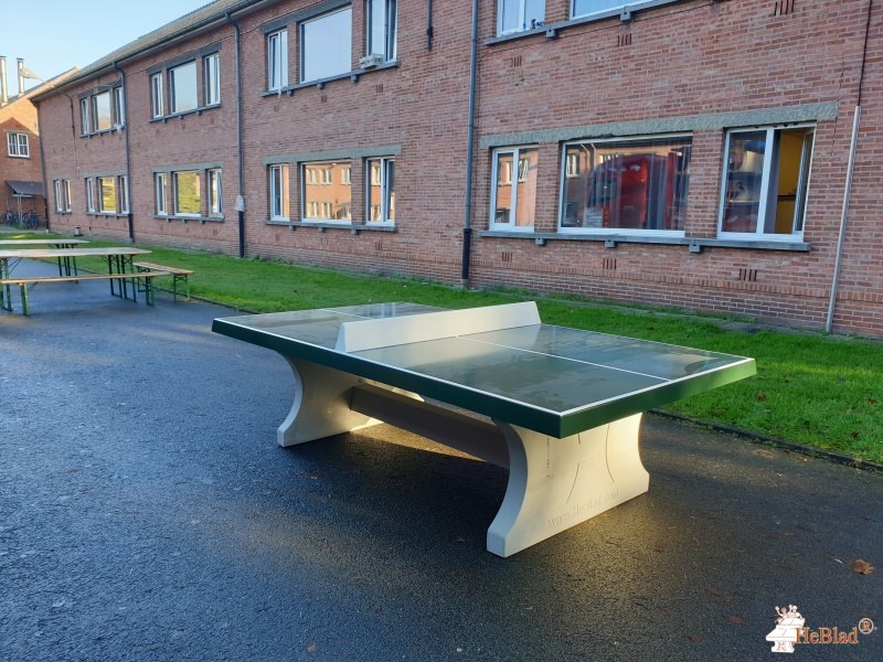 Belomax - BVBA HOMESHOP out  Sint-Niklaas