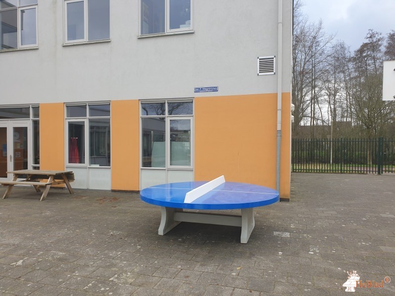 Hoveniersbedrijf Hans Knol out  Purmerend