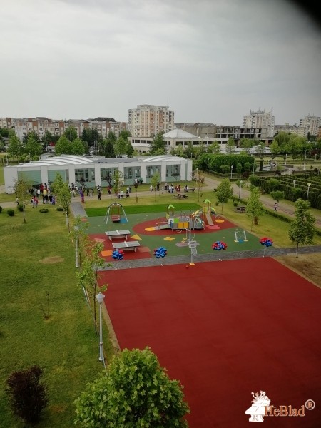 Loftrek SRL out  Baia Mare