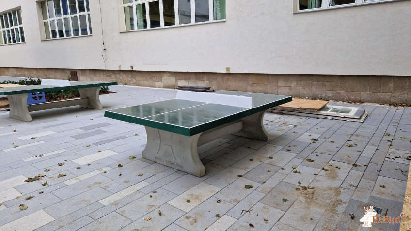 Játéksport Kft. out  Székesfehérvár