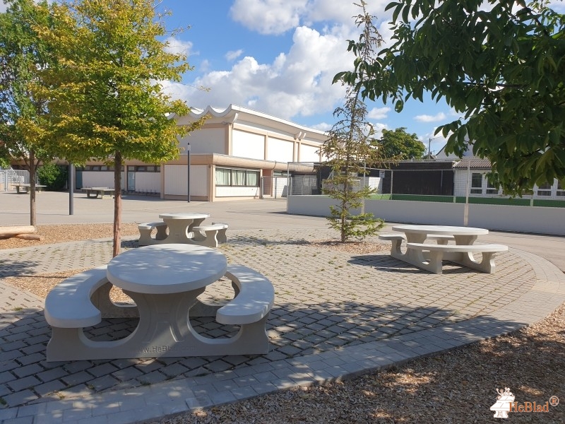 Crucenia Realschule Plus out  Bad Kreuznach