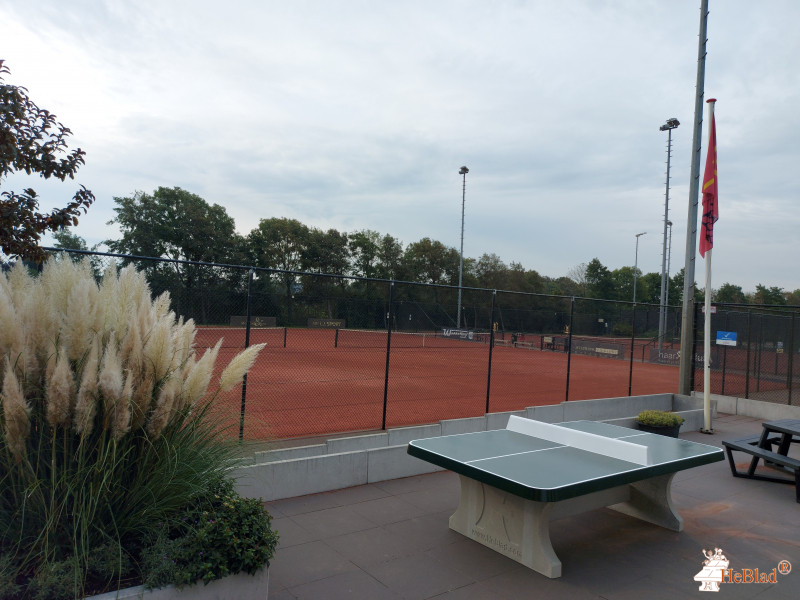 Sassenheimse Tennis Vereniging STV from Sassenheim