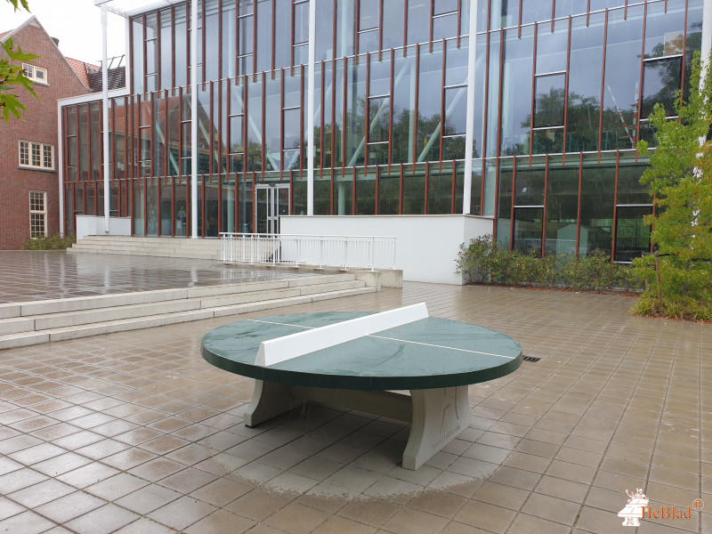 Buitenplezier-online B.V. out  Amersfoort