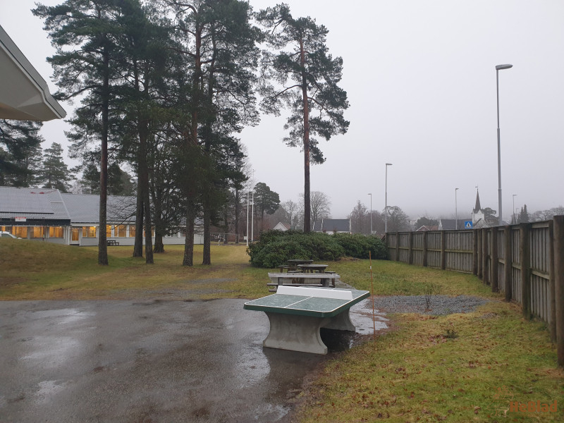 Sommerbutikken AS out  Lillesand