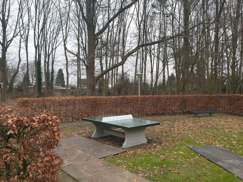 T&G Terrein En Groenvoorziening BV out  Veldhoven