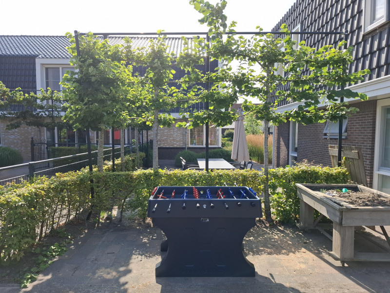 SVVG De Schutse out  Oud-Vossemeer