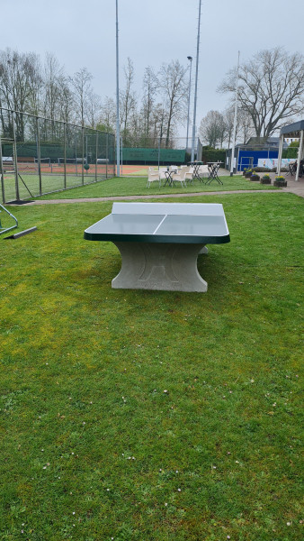 Tennis en padel Ammerzoden out  Ammerzoden