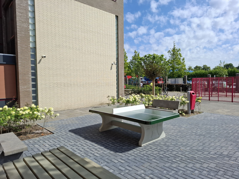 Thunbergia & van Dijke Hovenierswerken out  Middelharnis